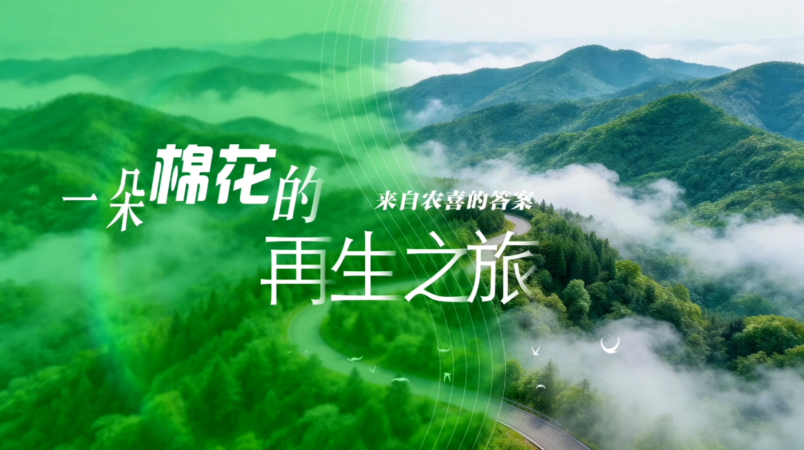 农业企业宣传样片——《一朵棉花的再生之旅》 - 摄制案例封面